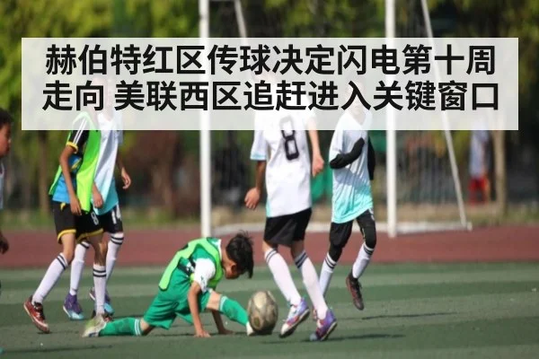 赫伯特红区传球决定闪电第十周走向 美联西区追赶进入关键窗口 | kaiyun.com